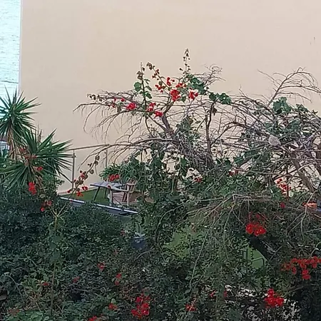 Apartmán Palm La Brise