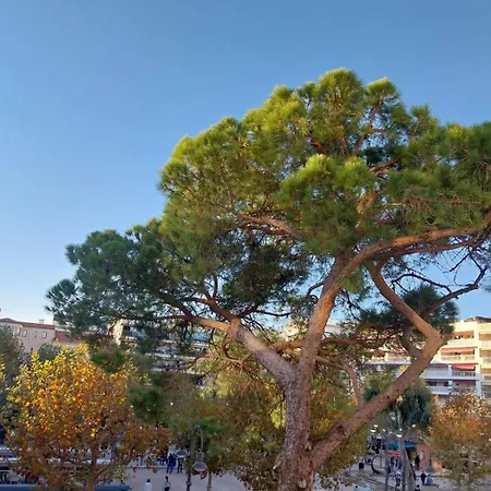 Palm La Brise Apartmán Cannes