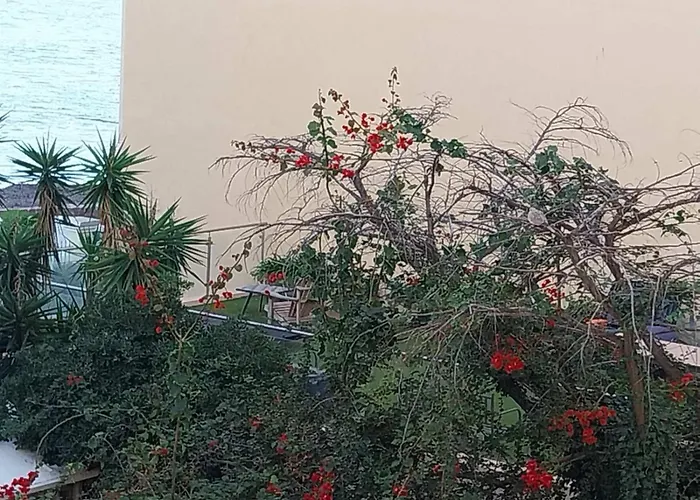 公寓 Palm La Brise