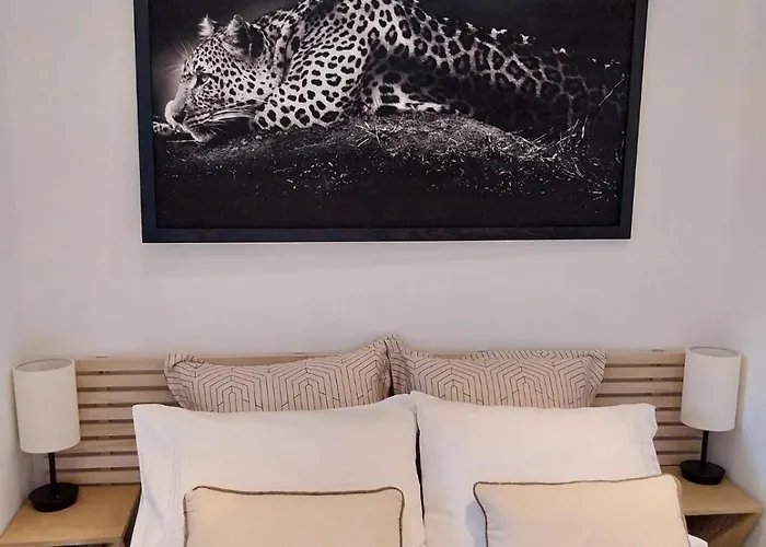 Palm La Brise 戛纳