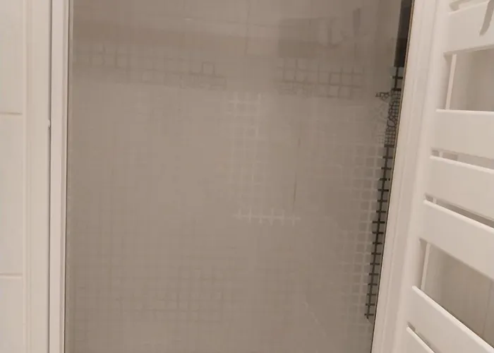 公寓 Palm La Brise 戛纳