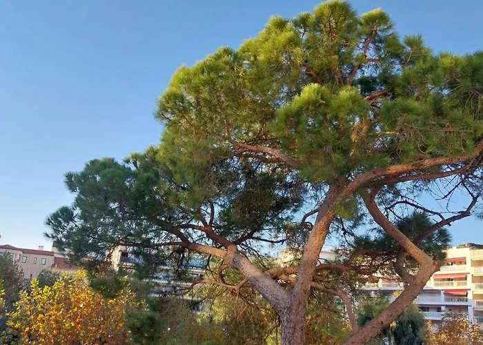 Palm La Brise 公寓 戛纳