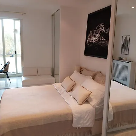 Palm La Brise Cannes