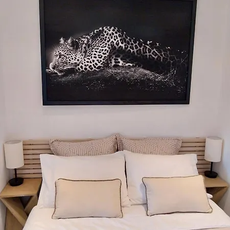 Palm La Brise Cannes