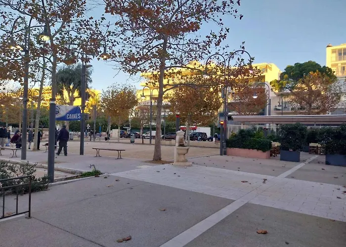 Palm La Brise Daire
