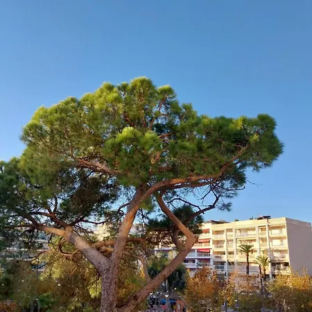 Palm La Brise Apartamento *