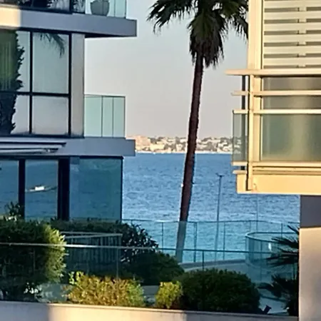 Palm La Brise