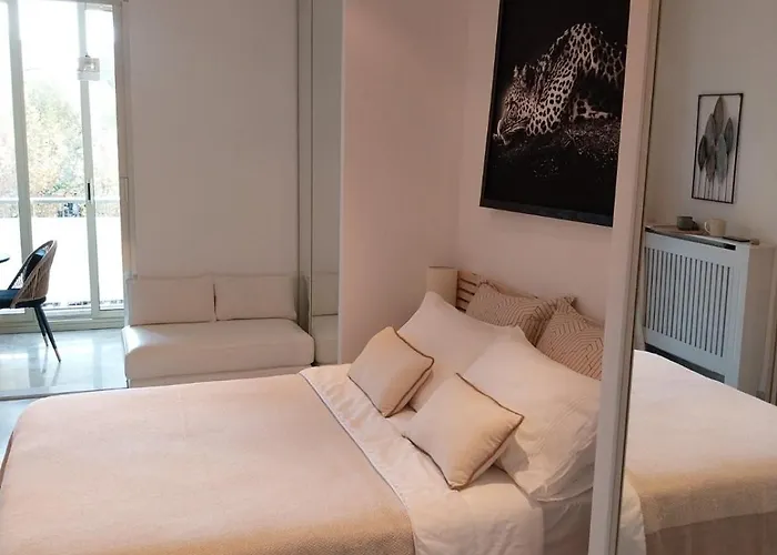 Palm La Brise Cannes