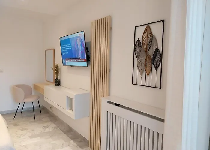 Palm La Brise Cannes