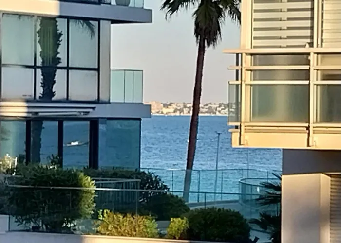 Palm La Brise